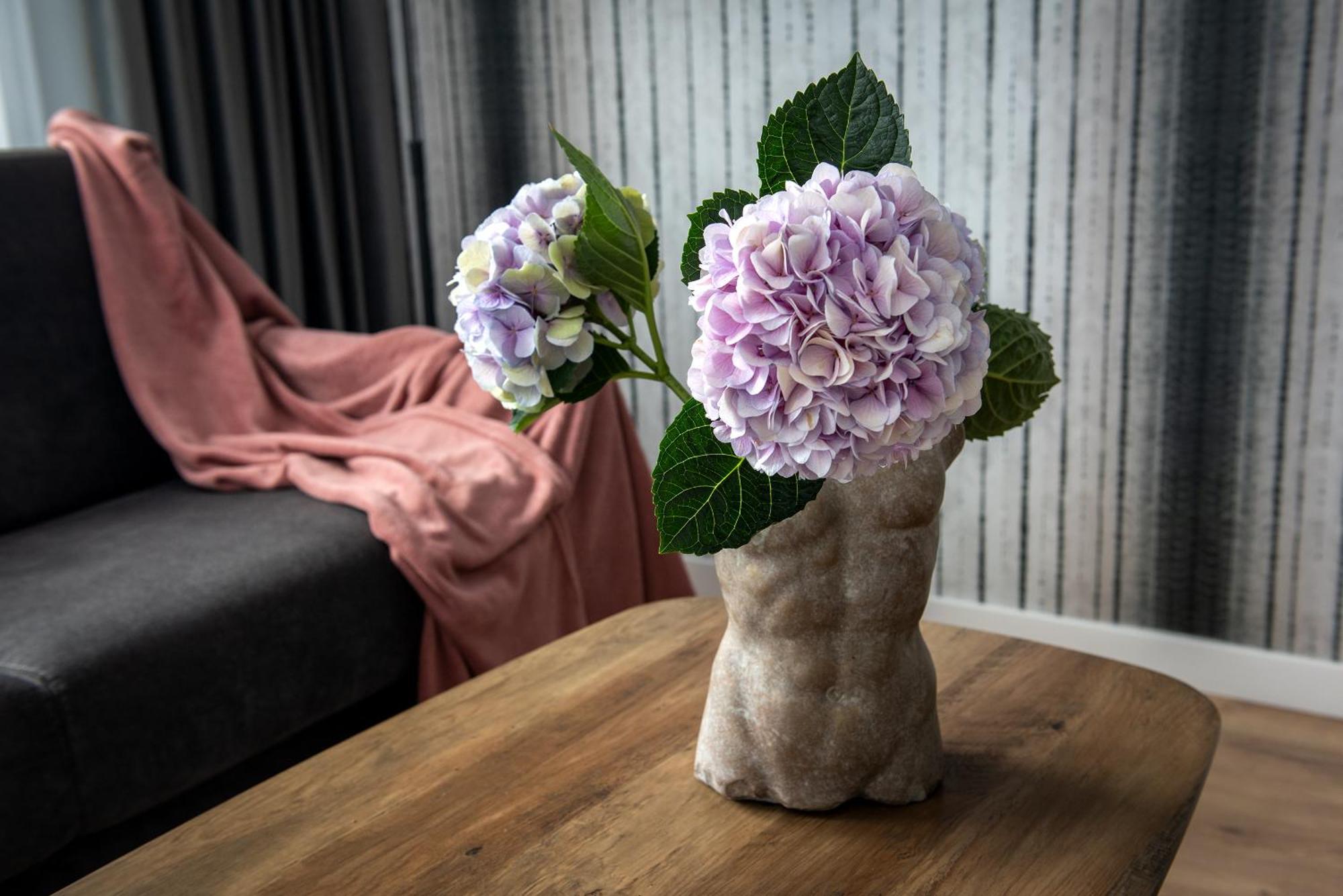 Inpoint Spacious Near Main Square & Kazimierz District Апартаменти